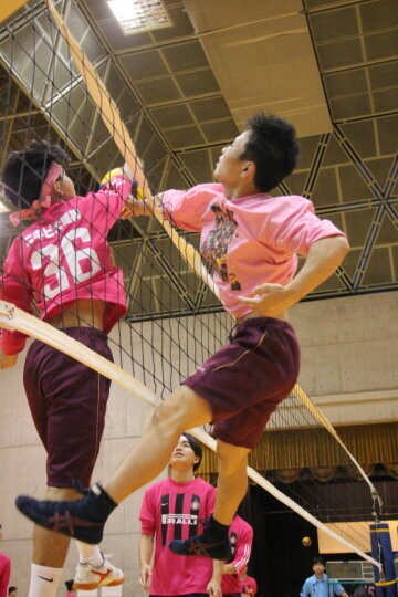 669c31aa-f863-4bfd-858a-a01764ed1f7f.jpg